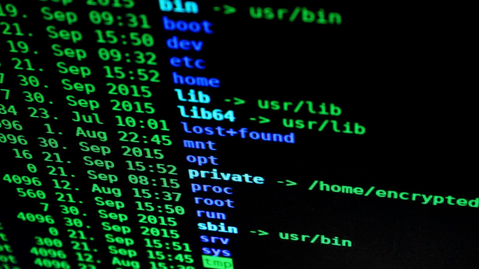 Security and Privacy in Virtual Boardrooms: What You Need to Know